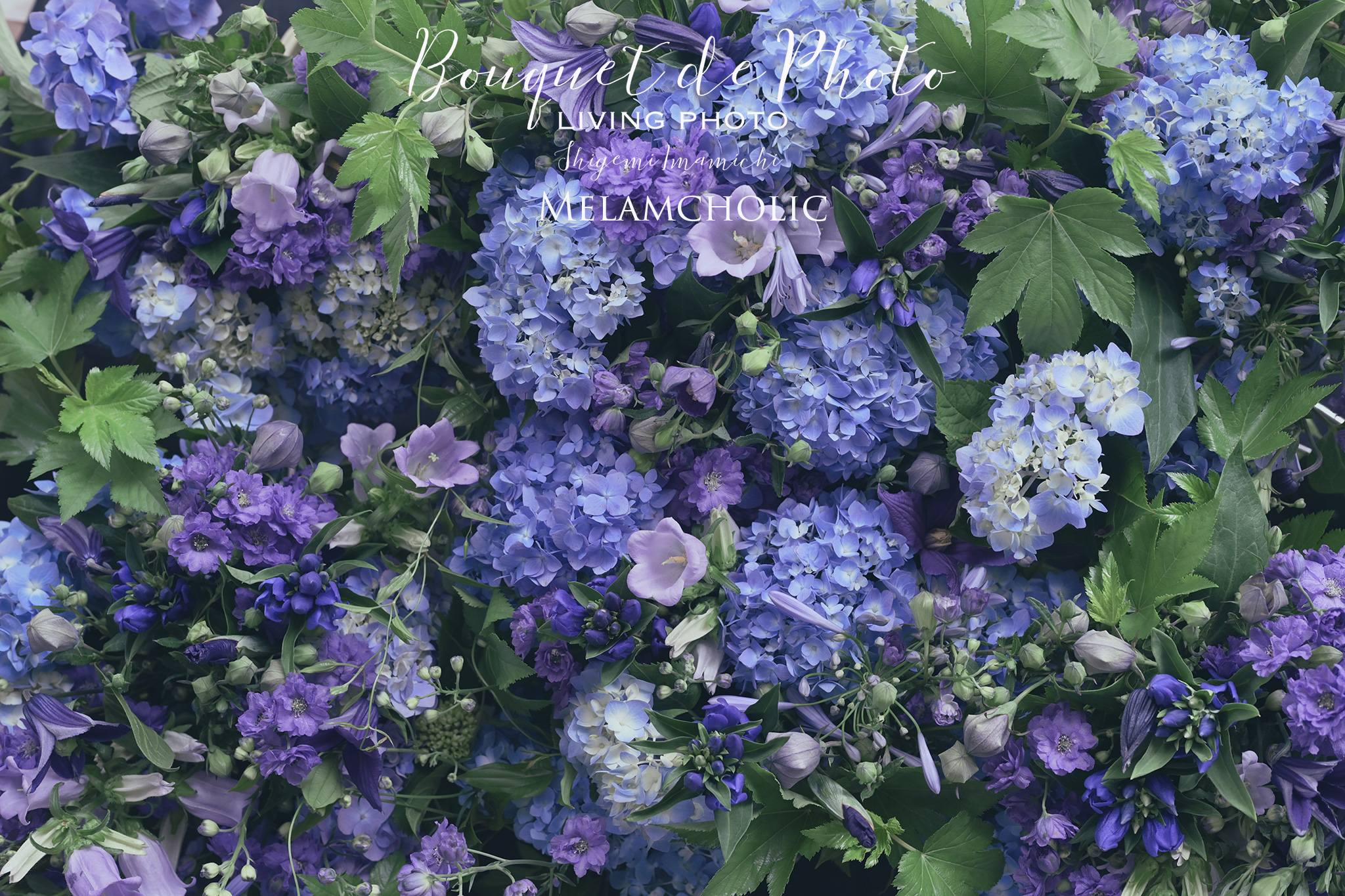 Bouquet de Photo 2019.6