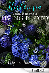 LIVING PHOTO Kindle6
Hortensia
Bouquet de Photo